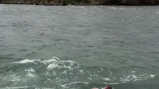 Khabib Nurmagomedov Jumps Into 9-Degree River After Hot Sauna Session