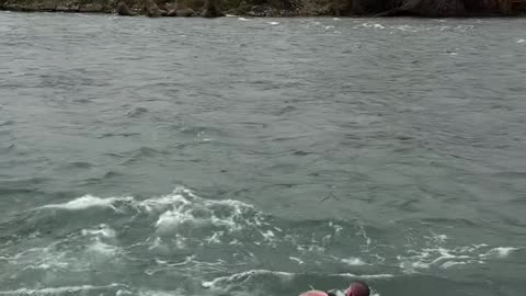 Khabib Nurmagomedov Jumps Into 9-Degree River After Hot Sauna Session