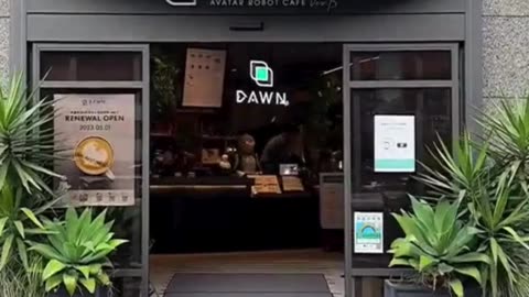 Robot Waiters in Tokyo?! 🤖☕️ Welcome to the Future of Dining