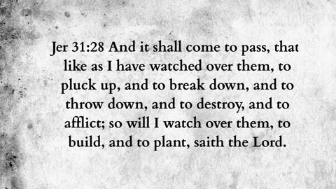 Martus Ministry -459- Teeth on edge