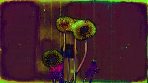 A Dream (short poem)
