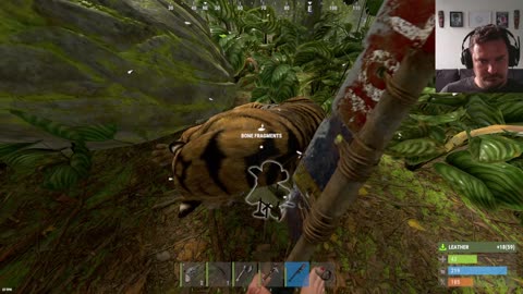 Just some more Jungle Rust