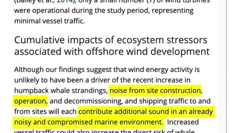 Why does US President Donald Trump keep saying wind turbines are killing whales?
