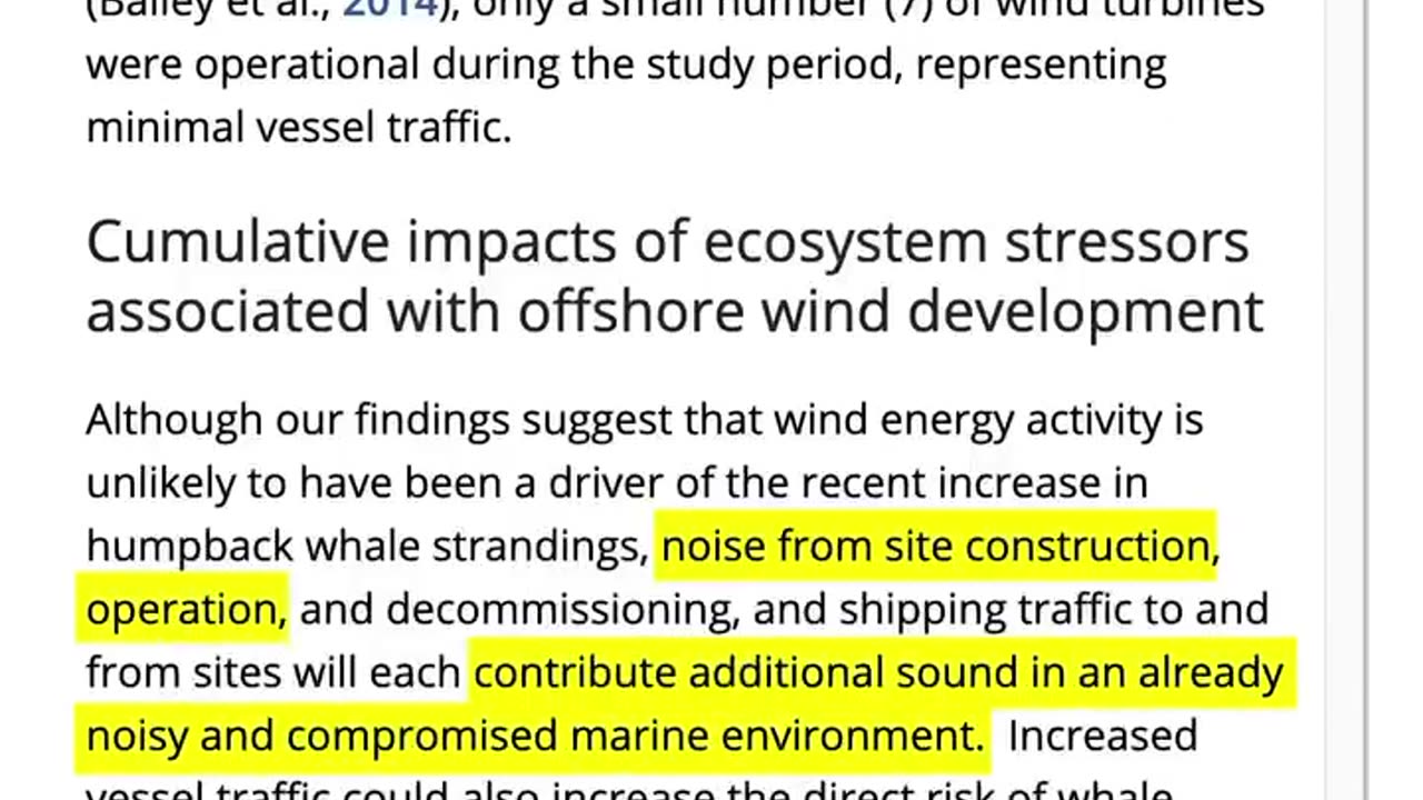 Why does US President Donald Trump keep saying wind turbines are killing whales?