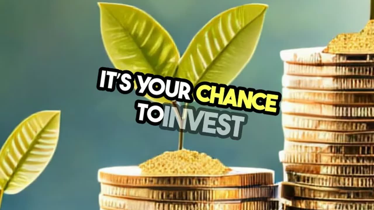 IPO and How to Invest in it