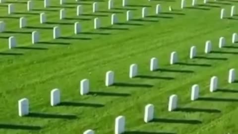 Military - 2025 Memorial Day TAPS Respect And Honor Our Nations Fallen Heros