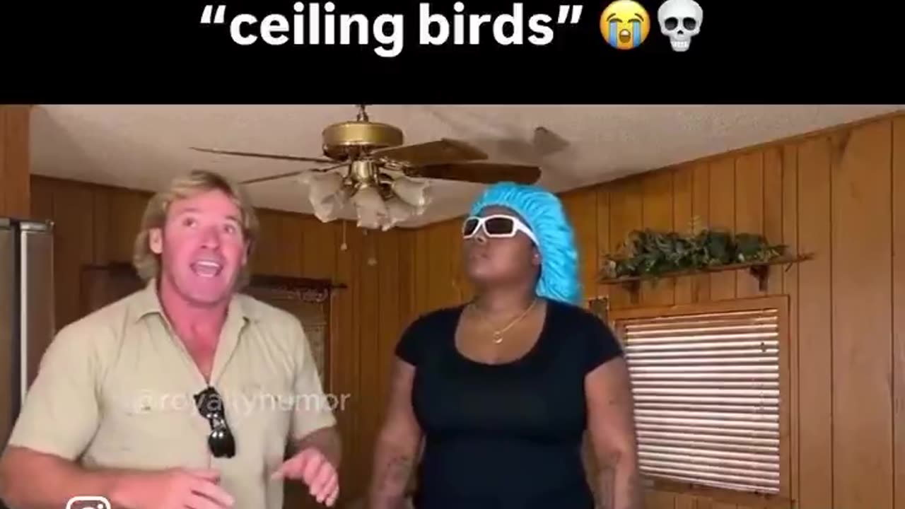 Steve Irwin AI Skit: Steve helps Negress with smoke detector problems