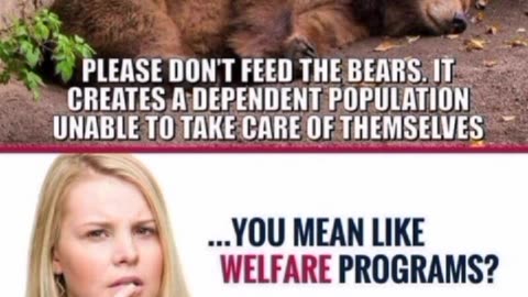 “What ‘Don’t Feed the Bears’ Really Means… And How It Applies to Politics 🐻🤔”