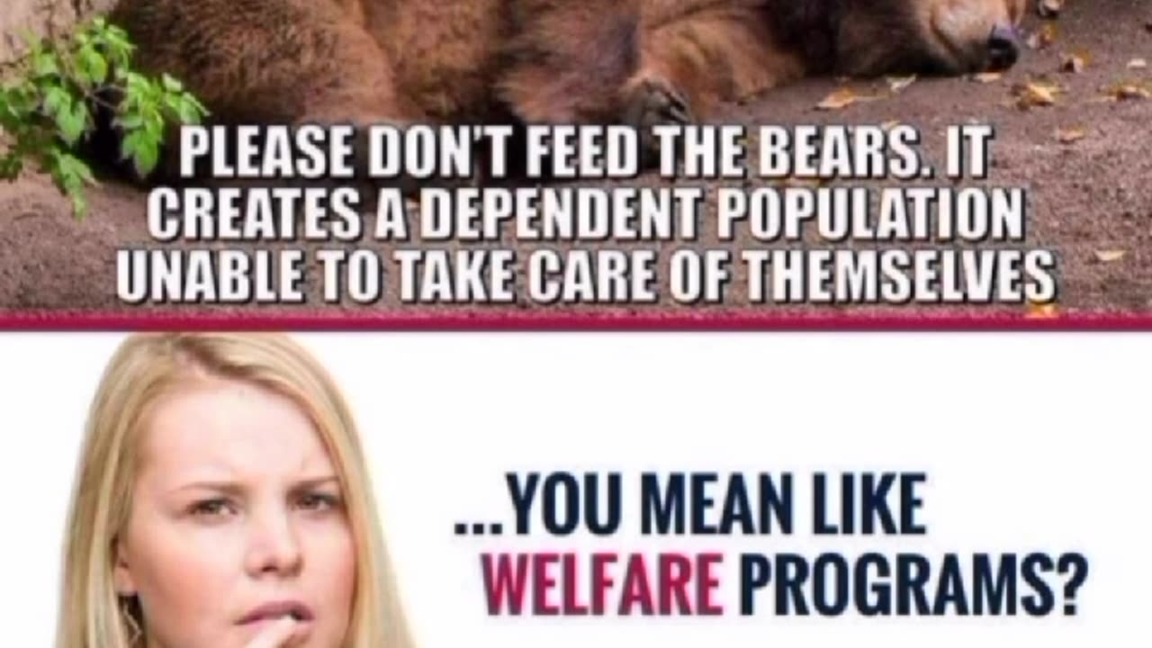 “What ‘Don’t Feed the Bears’ Really Means… And How It Applies to Politics 🐻🤔”