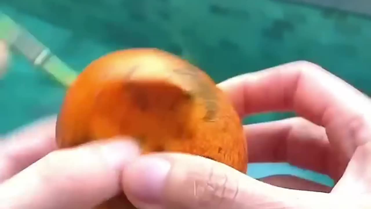 The five most amazing fruits on Earth