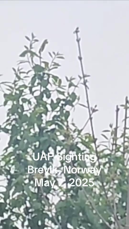 orbs spotted zooming across the sky in brevik norway yesterday.