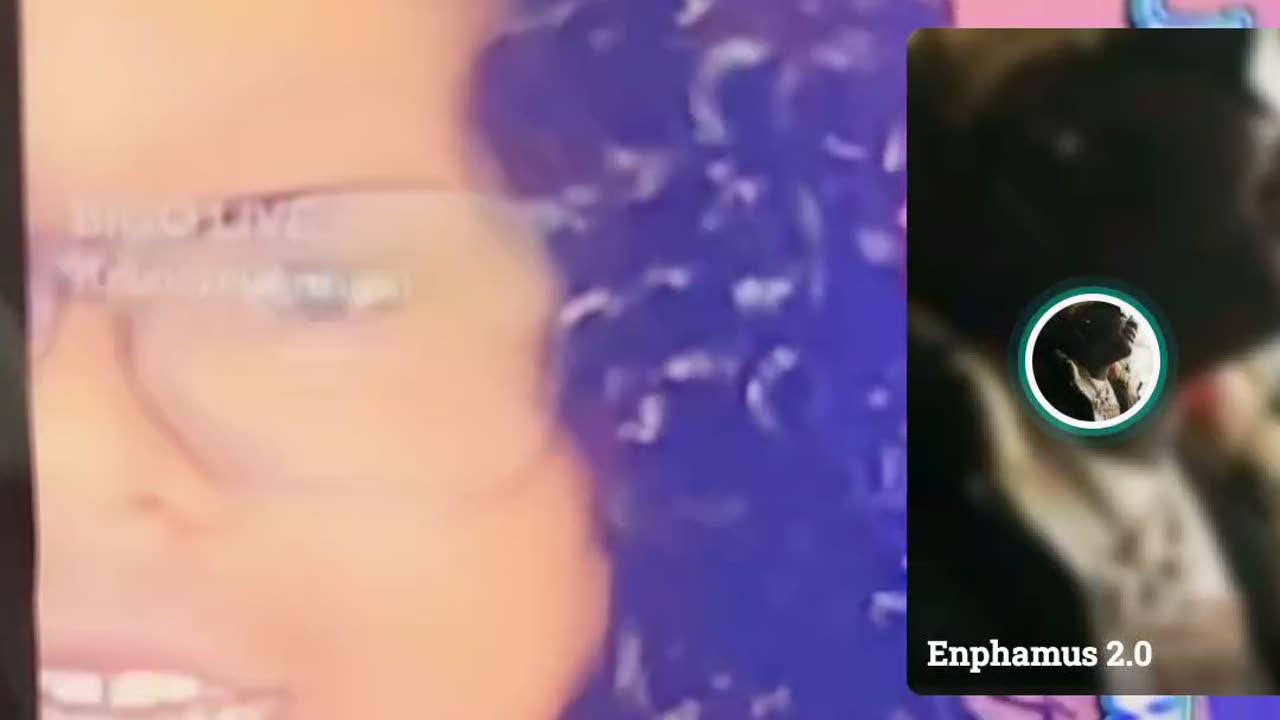 ROTATIONTV_BIGOSHITSHOW PRODUCTION