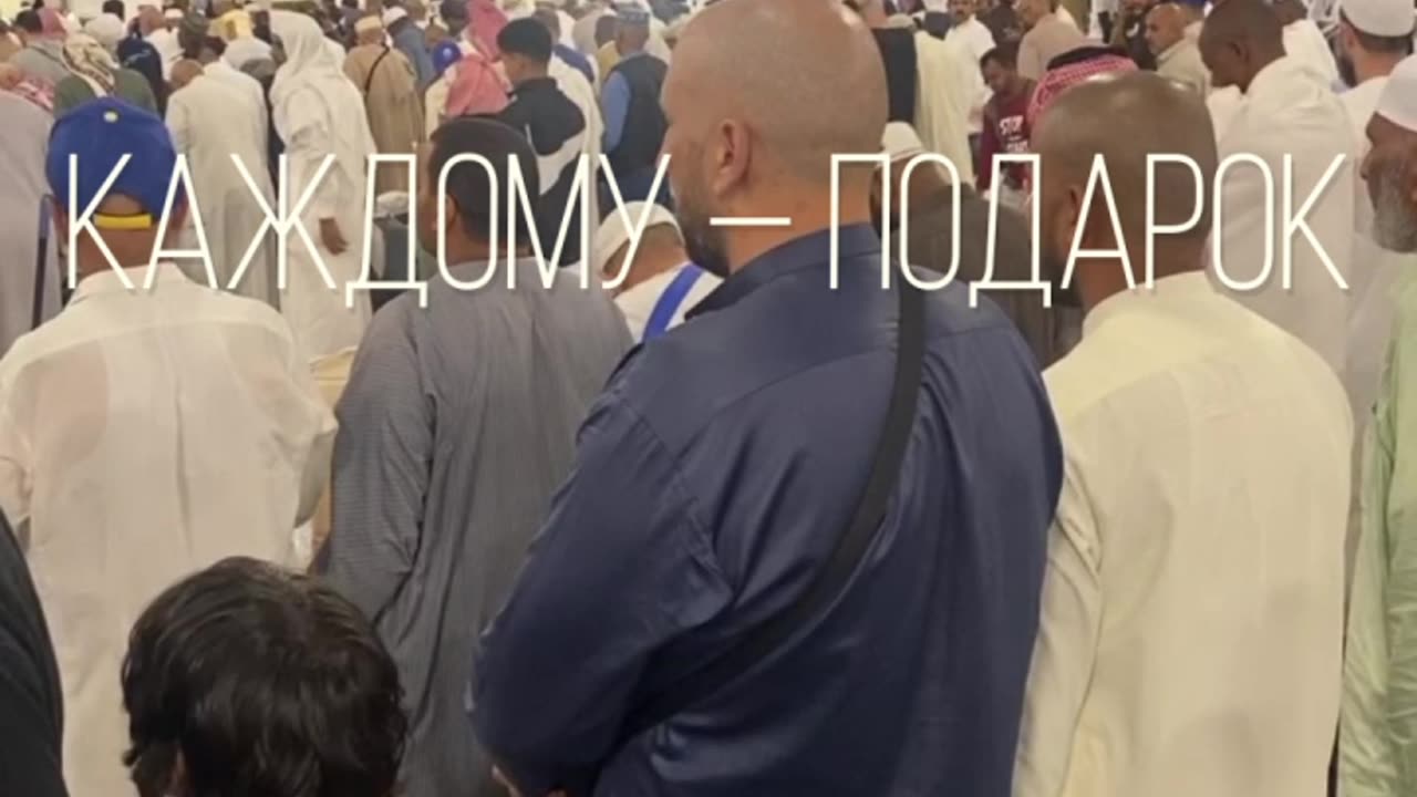 Осьминоги не совершают УМРУ. А ТЫ?!