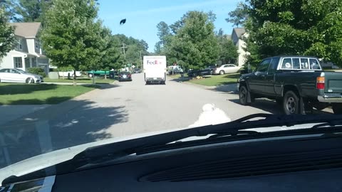 FedEx Driver - Cuts me Off - 20190701