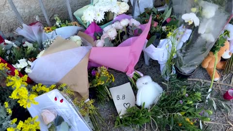 Saint-Tropez locals remember Brigitte Bardot, set to be buried there