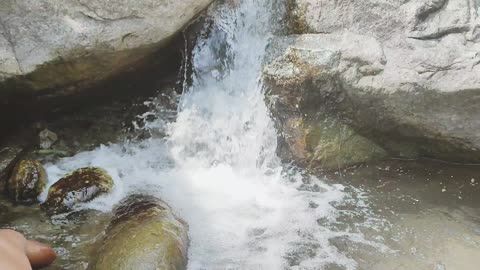 Fishing video