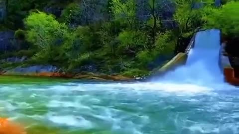 The Art of Nature #nature #naturalscenery #shorts #naturevideo #youtubeshorts #naturebeauty