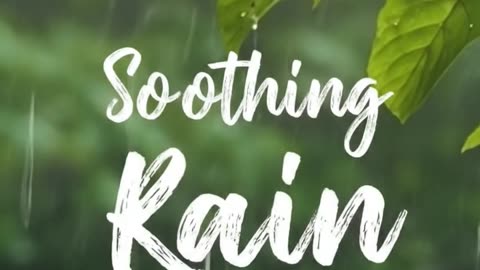 Peaceful Rain to Help You Sleep and Relax🌧️