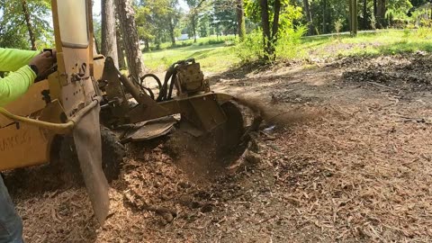 This Stump Grinding Job Didn’t Go as Planned!