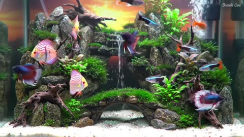 Aquascape Live: Nature’s Harmony in Glass