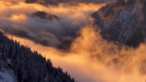 Golden morning in the Cascade Mountains, Washington, USA. Nature 4K videos 🌐