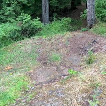 Building with Purpose | Path and Tarot Reading