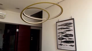 Taiwan rattled by 7.0 magnitude quake