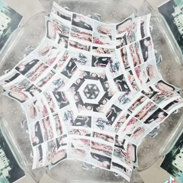 Tim Rifat TikTok Videos