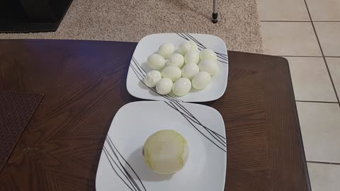 MEAL OF THE DAY