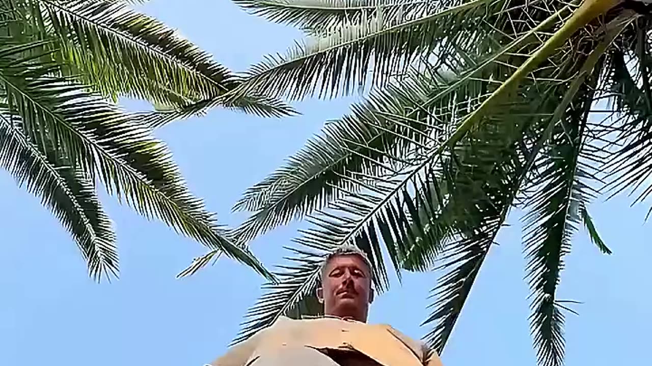 ✨💇♂️ LEWANDOWSKI SE PONE RUBIO PARA 2025-26: NUEVA TEMPORADA, NUEVO PELO, MISMOS OBJETIVOS