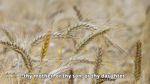 Deuteronomy Chapter 13