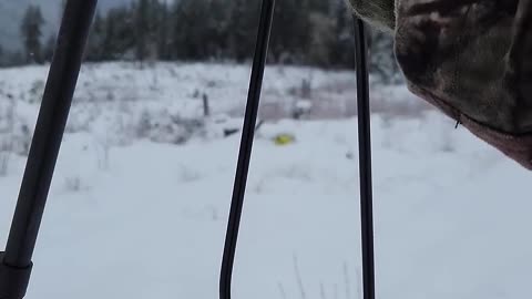 Another Gloomy Day for Canadian Gun Owners