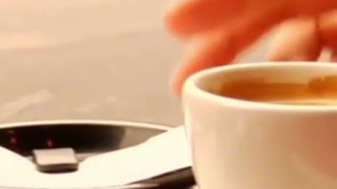 The Magic of Coffee: What You Need to Know