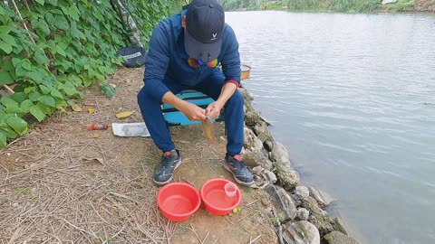 Barsch im Fluss Angeln pur #Barschfischen #Flusszauber #Fischzeit