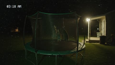 backyard fun