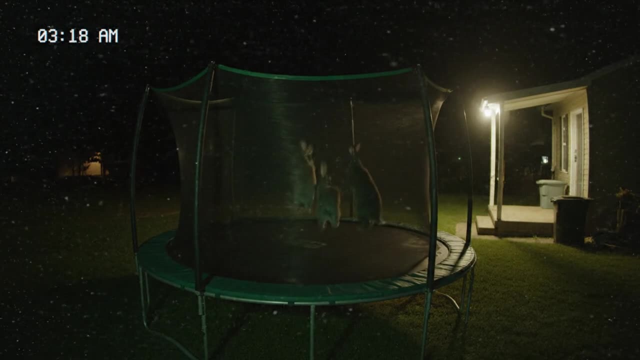 backyard fun