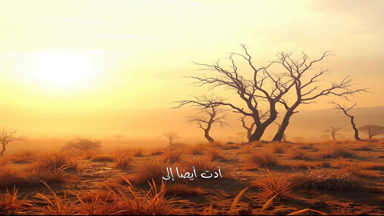 سرّ ثديي البيلوثيريوم | تركيا القديمة #بيلوثيريوم #حفرية #تركيا