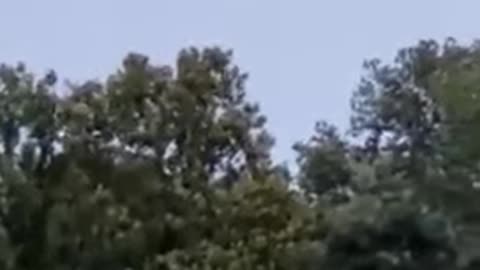 new jersey ufo