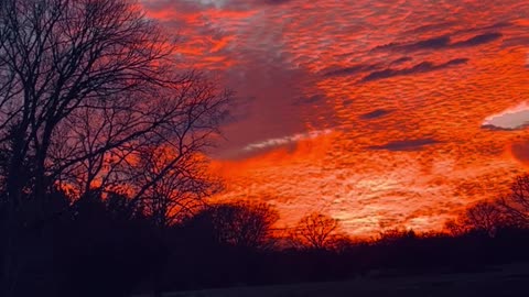 Airplane Flying Through a Beautiful Sky