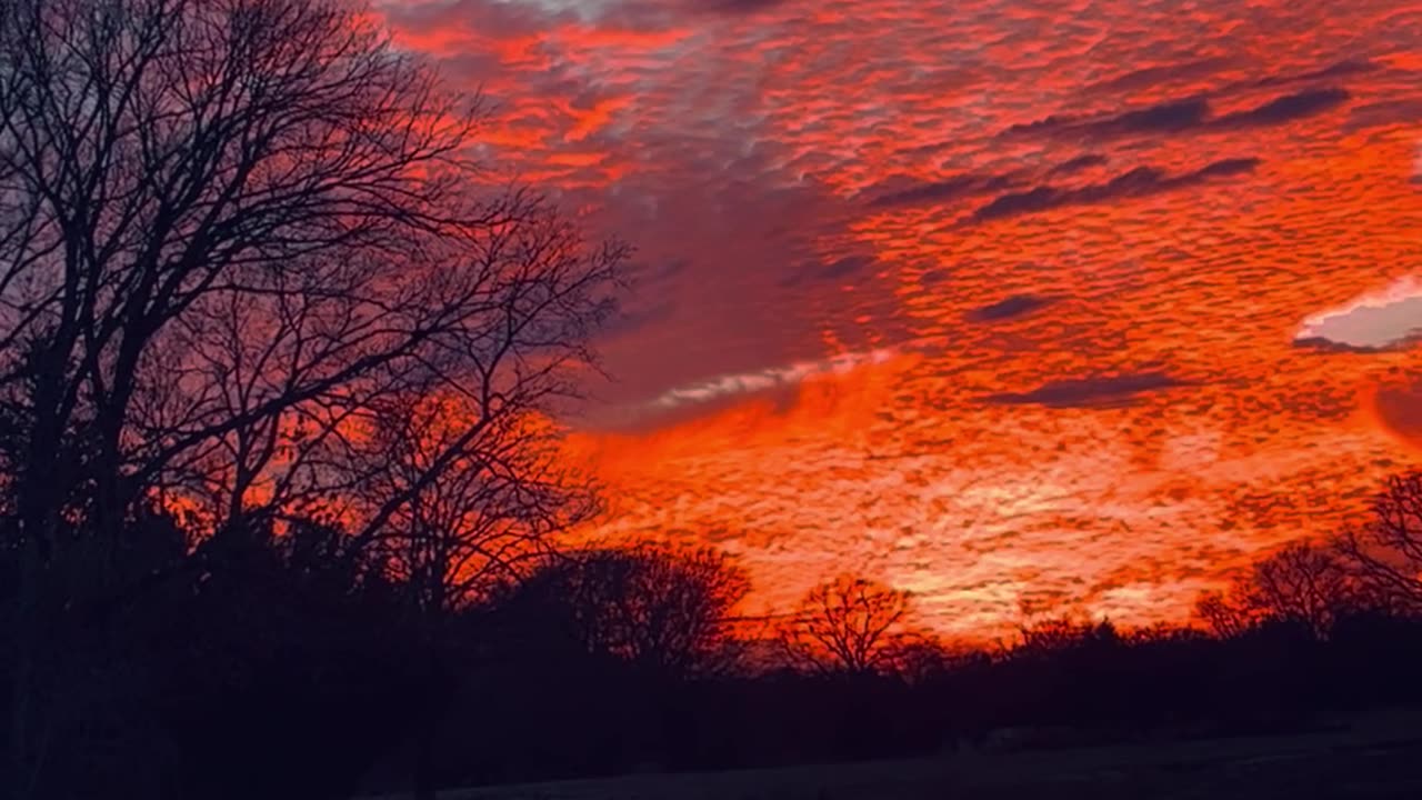 Airplane Flying Through a Beautiful Sky