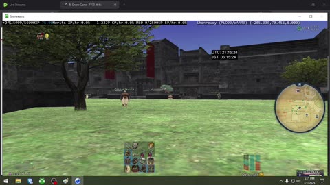 Playing Final Fantasy XI Online