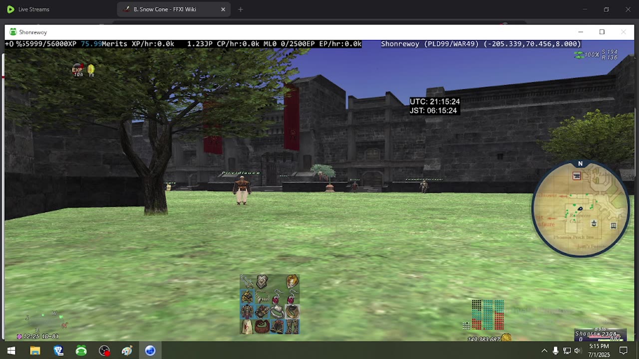 Playing Final Fantasy XI Online