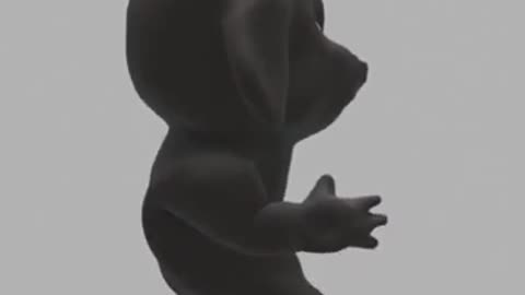 Lexi's 3D running animation light environment test