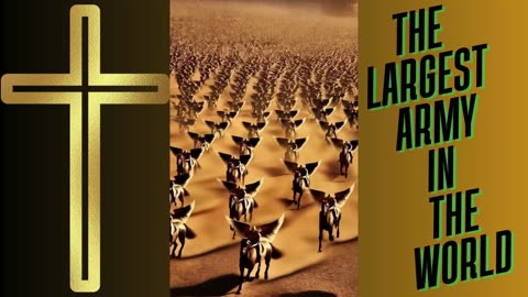 THE LARGEST ARMY IN THE WORLD!!!