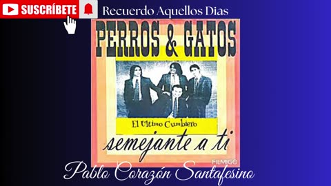 Perros & Gatos