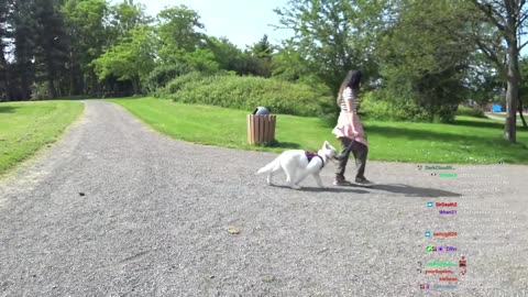 [6/08/22] IRL Leash Training Outside with Ein!