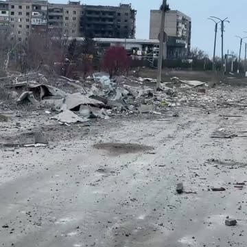 Border guards of the "Pomsta" brigade saved a cat among the destroyed positions