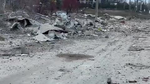 Border guards of the "Pomsta" brigade saved a cat among the destroyed positions