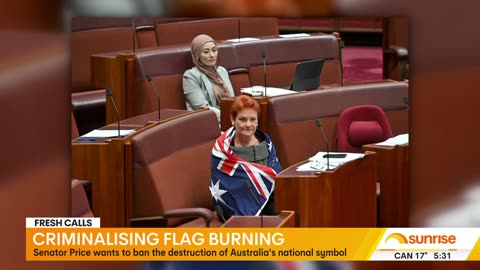 Calls to criminalise burning the Australian flag - 7NEWS Australia