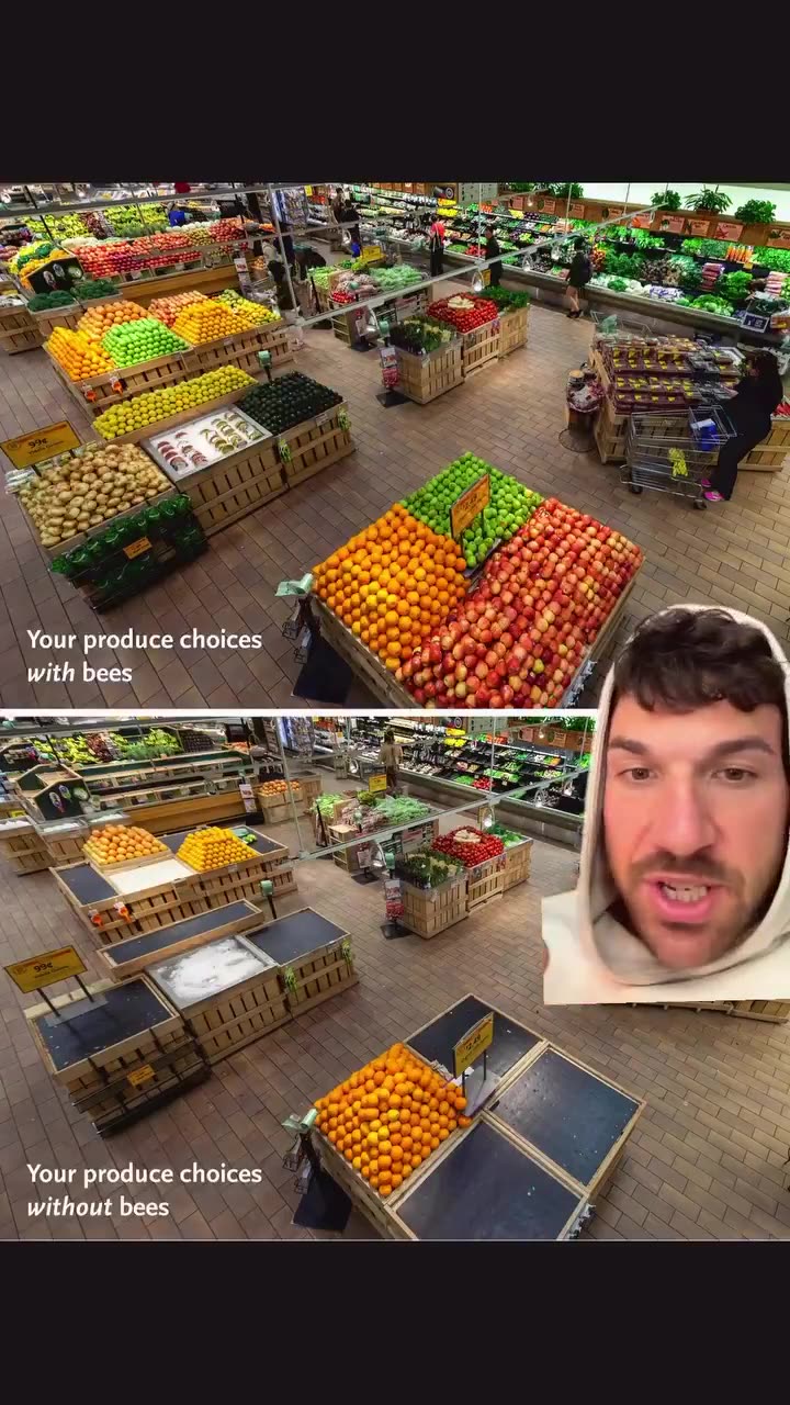 Been Keepers life expectancy is longer than any other profession in the world